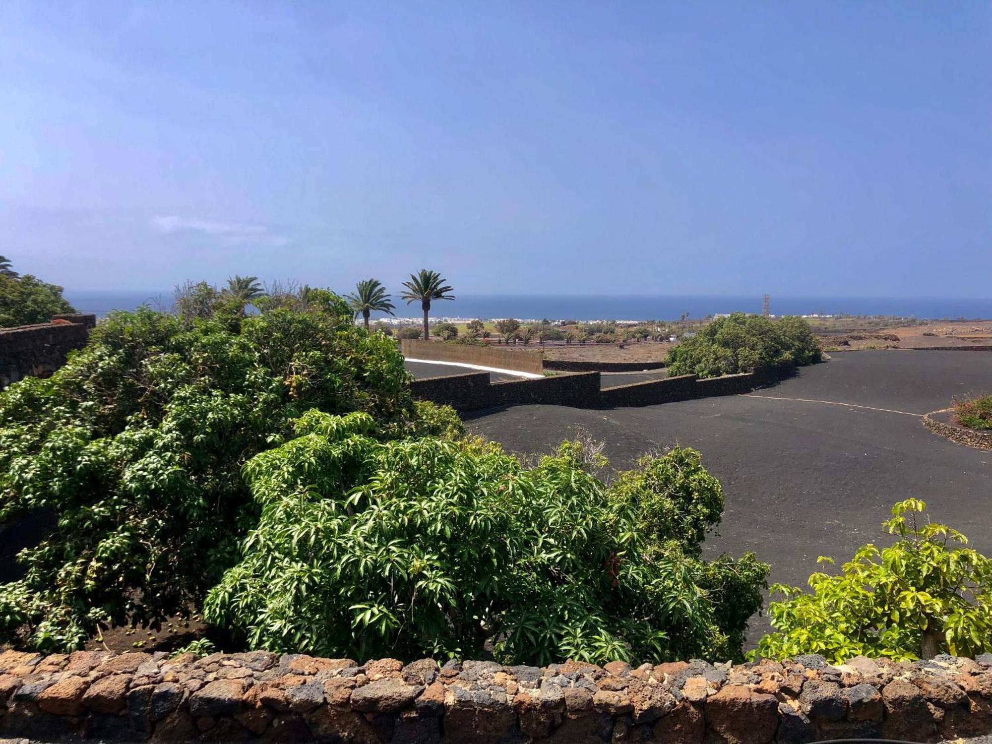 Villa Luciano "Spirit Of The Canaries" Tias Bagian luar foto